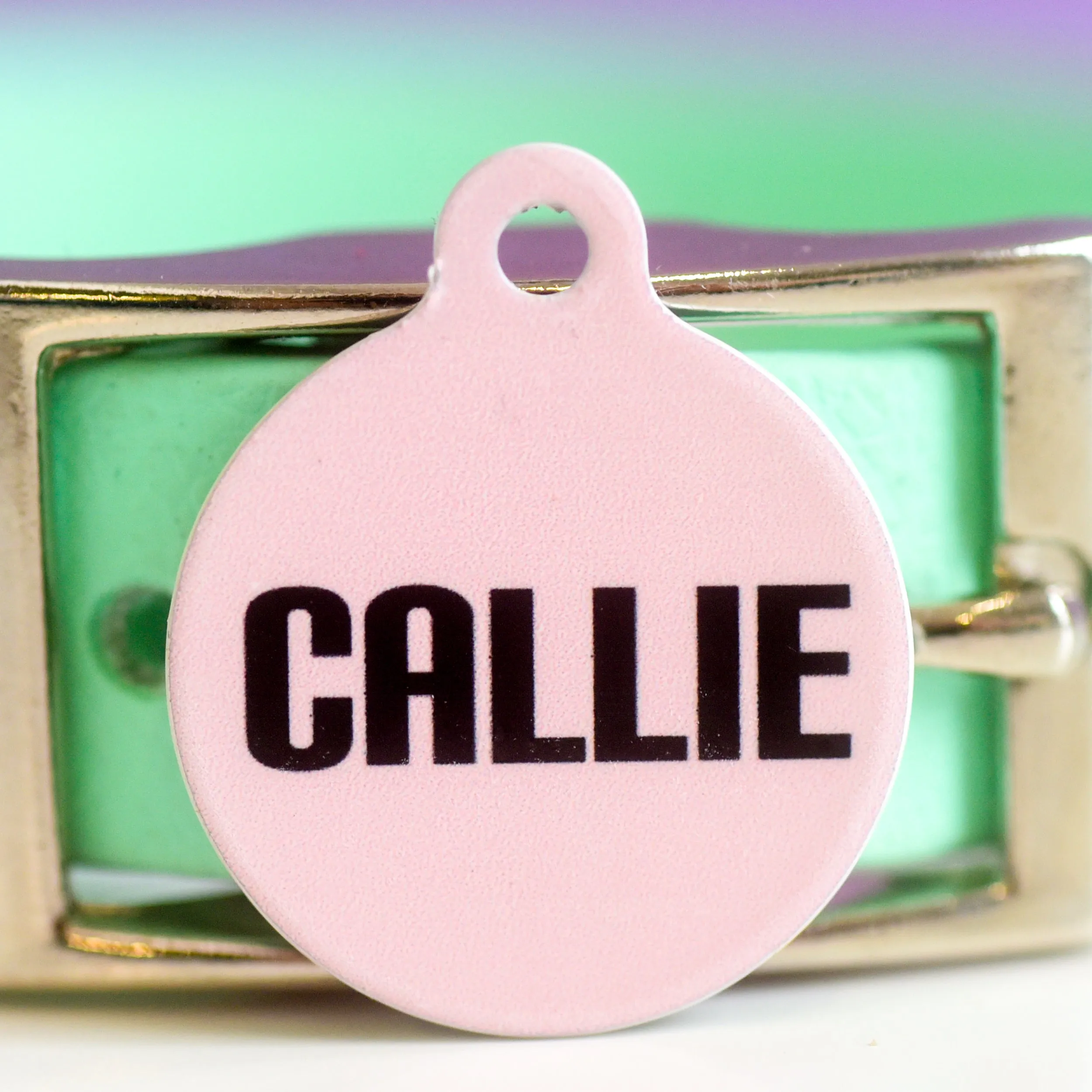 Signature Hoobynoo Block Colour Pet ID Tag