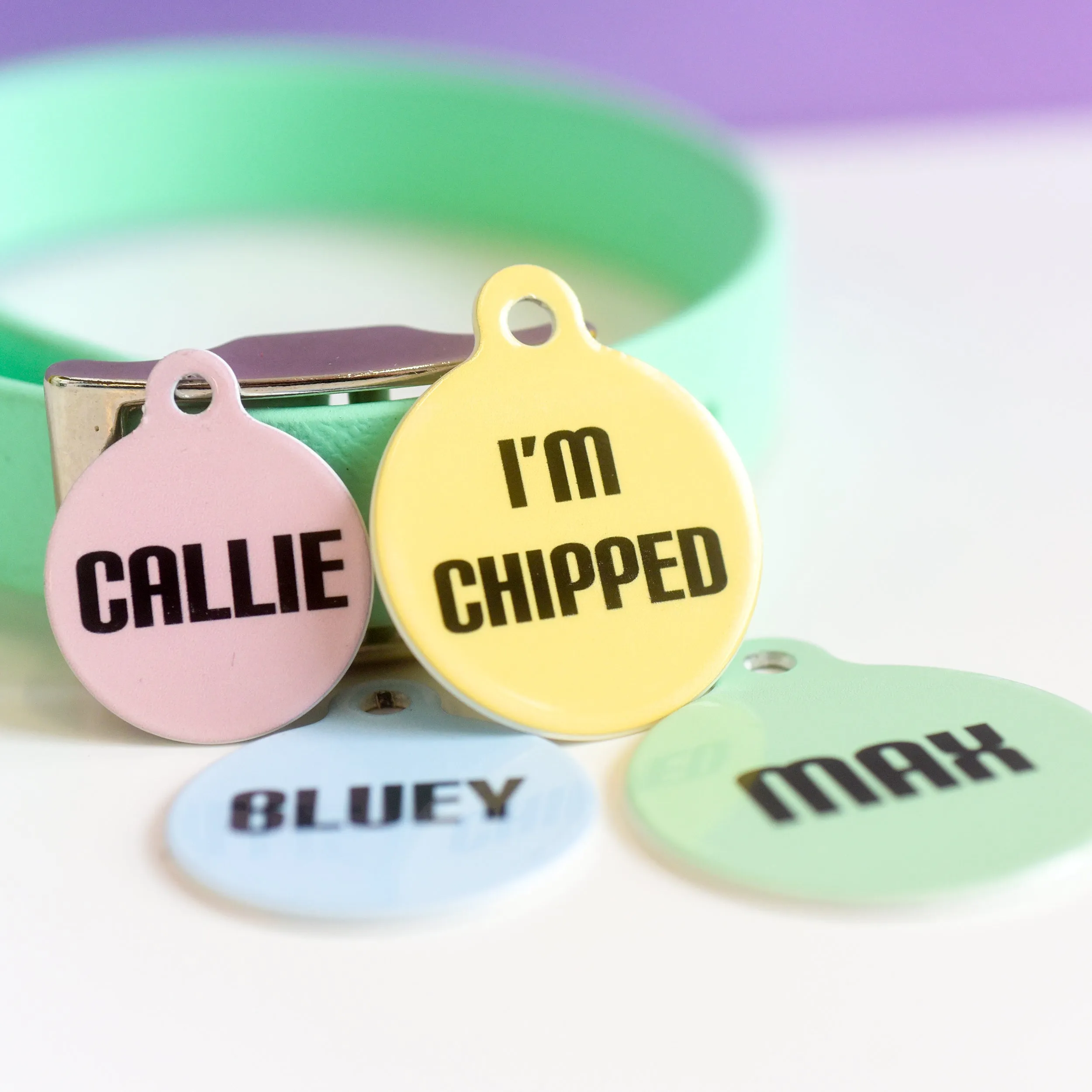 Signature Hoobynoo Block Colour Pet ID Tag