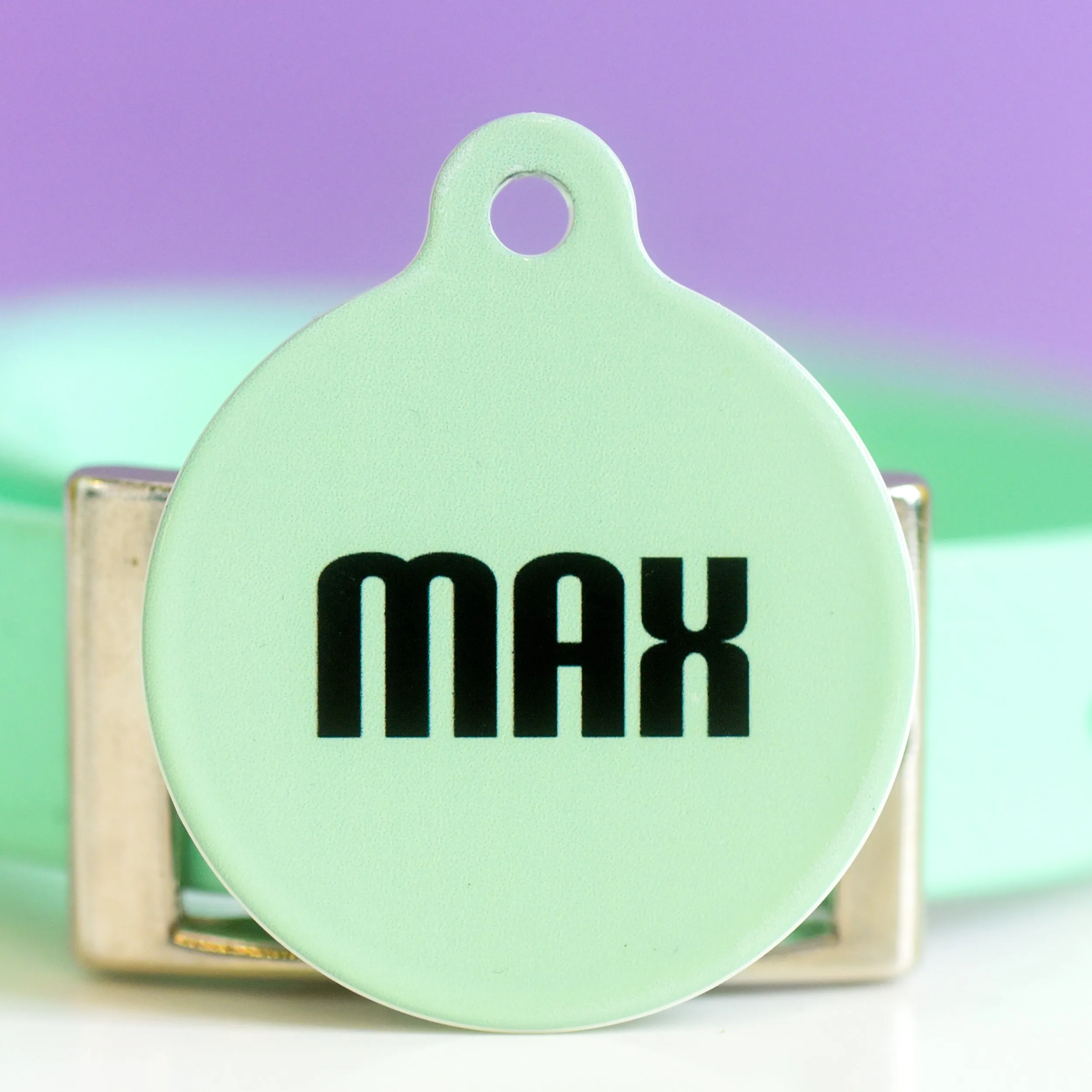 Signature Hoobynoo Block Colour Pet ID Tag