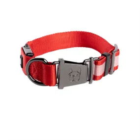 Silver Paw Country Living LED Light Glow Collar