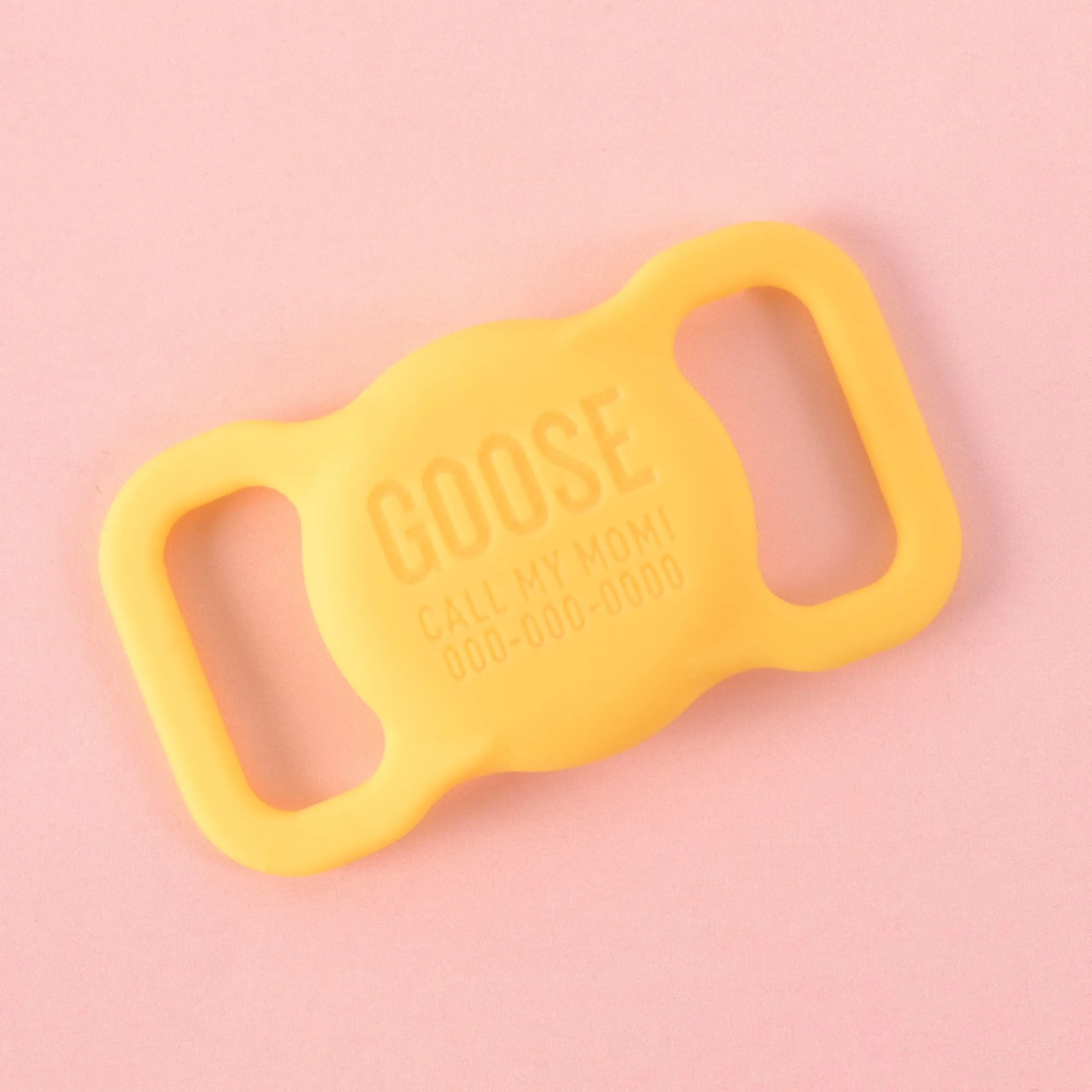 Slide-on Personalized Pet Tag, AirTag holder