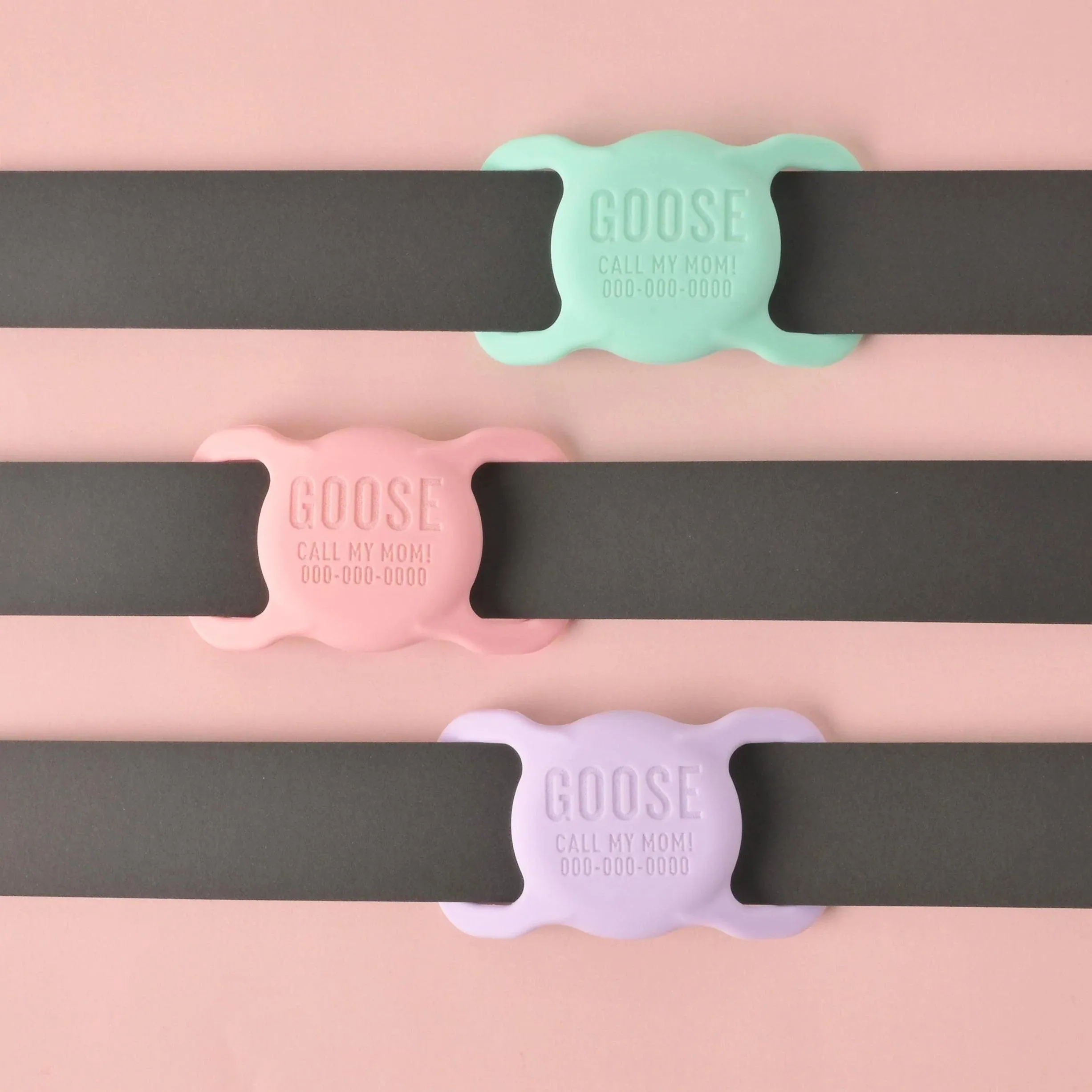 Slide-on Personalized Pet Tag, AirTag holder