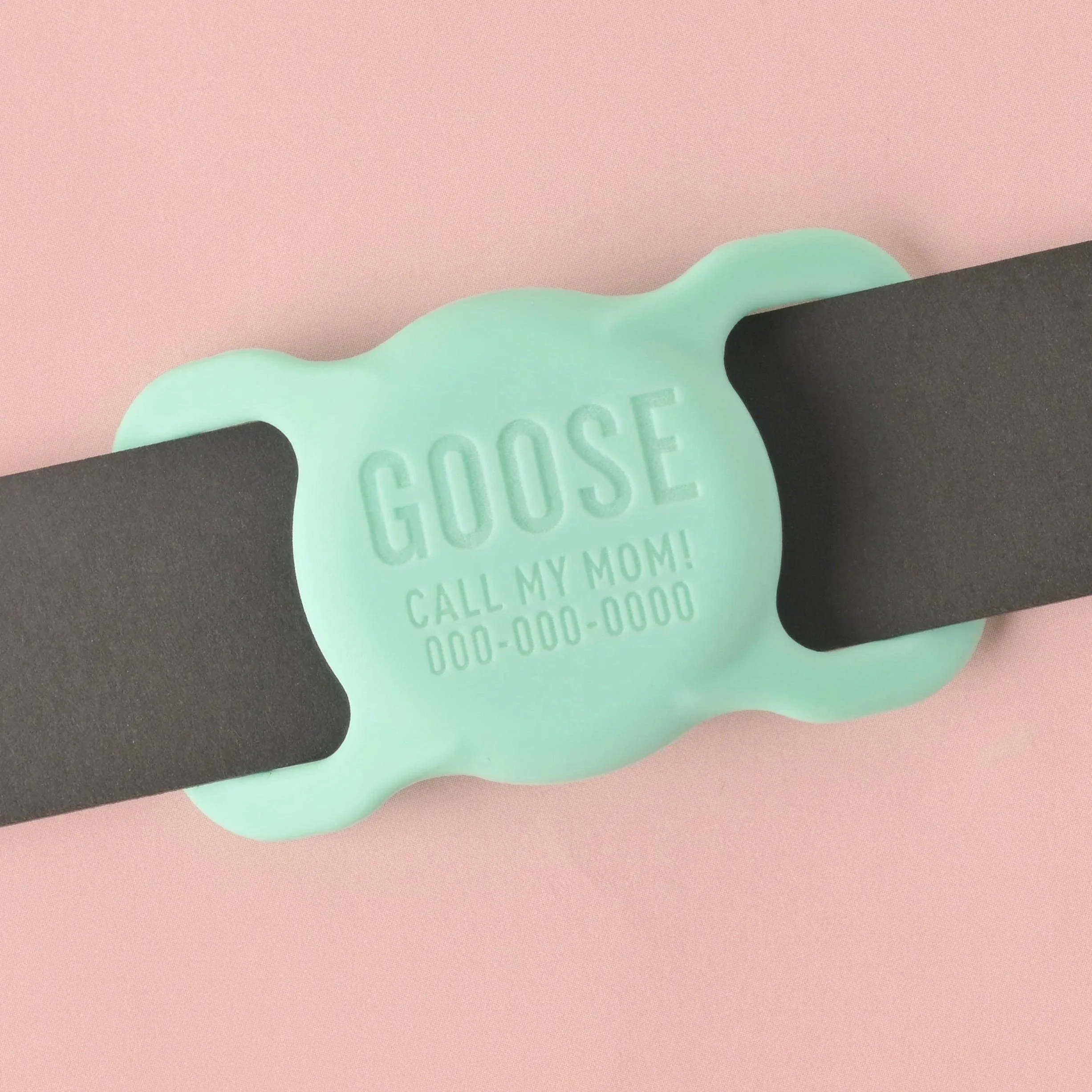 Slide-on Personalized Pet Tag, AirTag holder