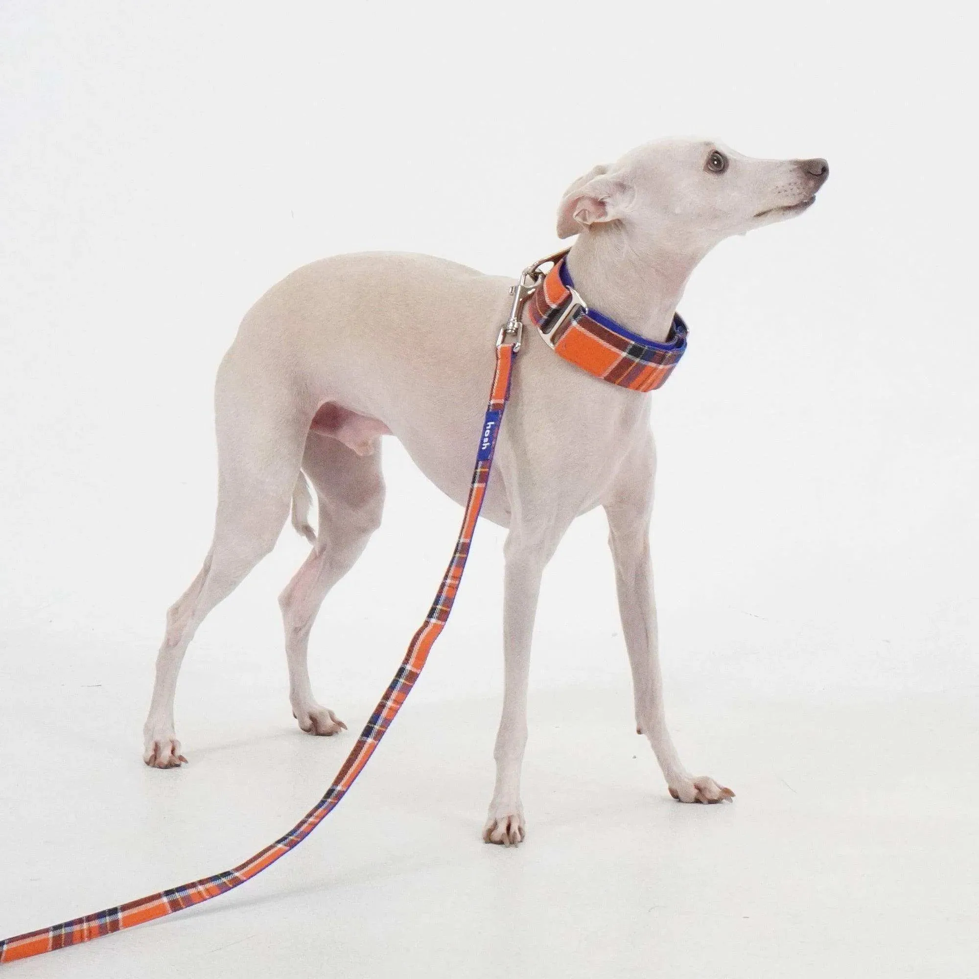 Tartan Pattern Martingale Collar   Leash Set | Orange