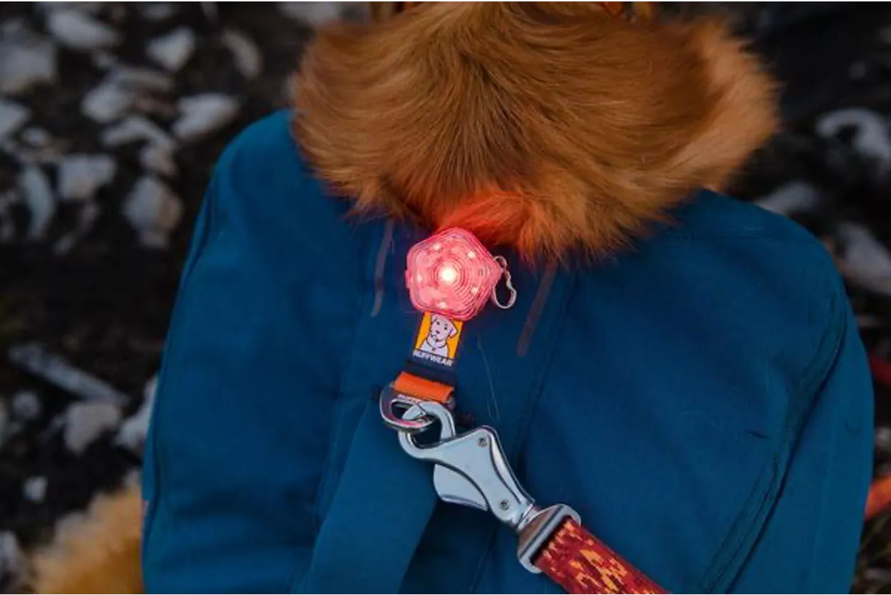 The Beacon Safety Light