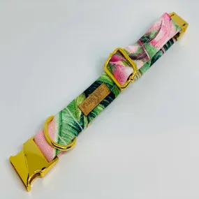 The 'Tropical Palms' Dog Collar Bundle