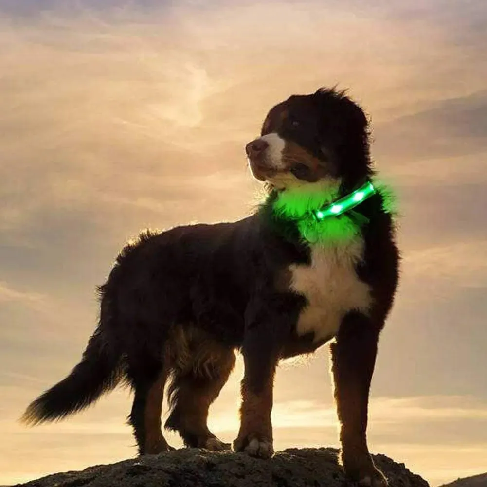 USB Rechargeable Collar USB Rechargeable LED Pet Dog Collar Flashing Luminous Safety Light up Nylon UK
