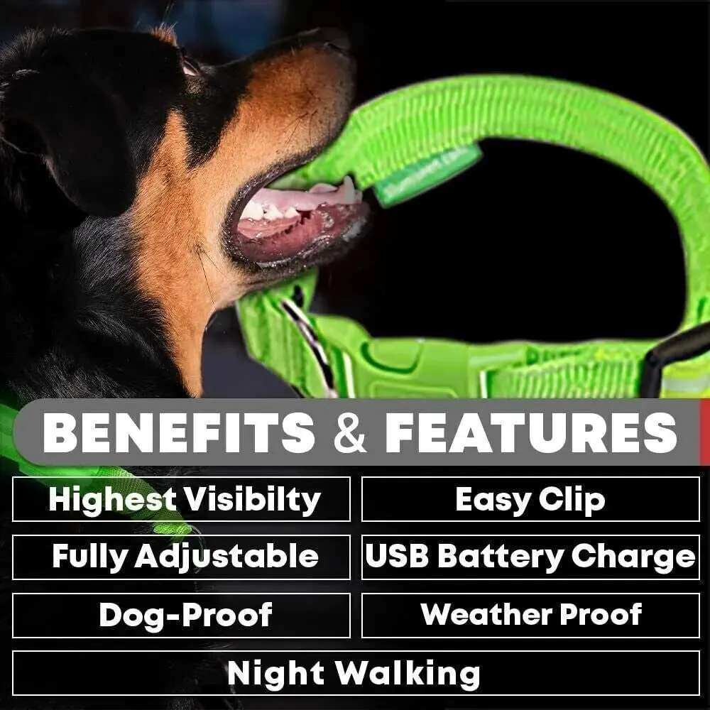 USB Rechargeable Collar USB Rechargeable LED Pet Dog Collar Flashing Luminous Safety Light up Nylon UK