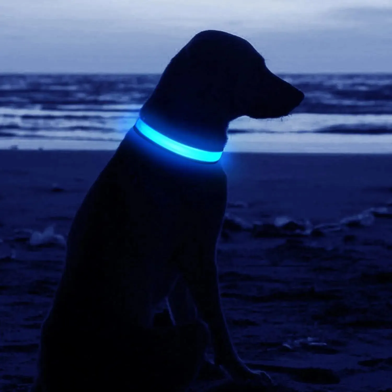 USB Rechargeable Collar USB Rechargeable LED Pet Dog Collar Flashing Luminous Safety Light up Nylon UK