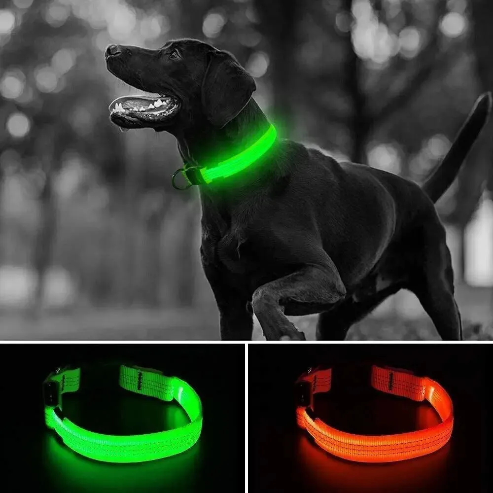 USB Rechargeable Collar USB Rechargeable LED Pet Dog Collar Flashing Luminous Safety Light up Nylon UK