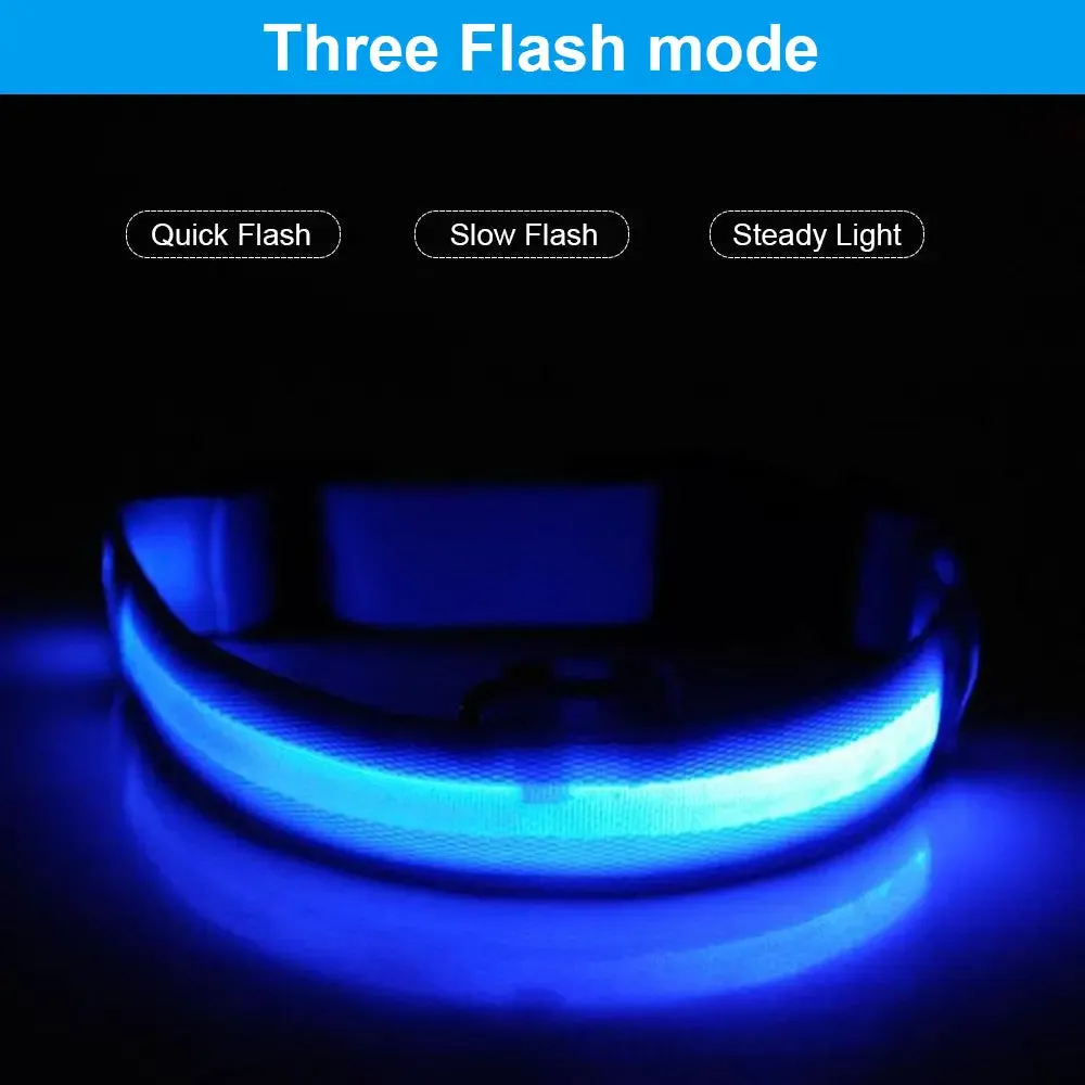 USB Rechargeable Collar USB Rechargeable LED Pet Dog Collar Flashing Luminous Safety Light up Nylon UK