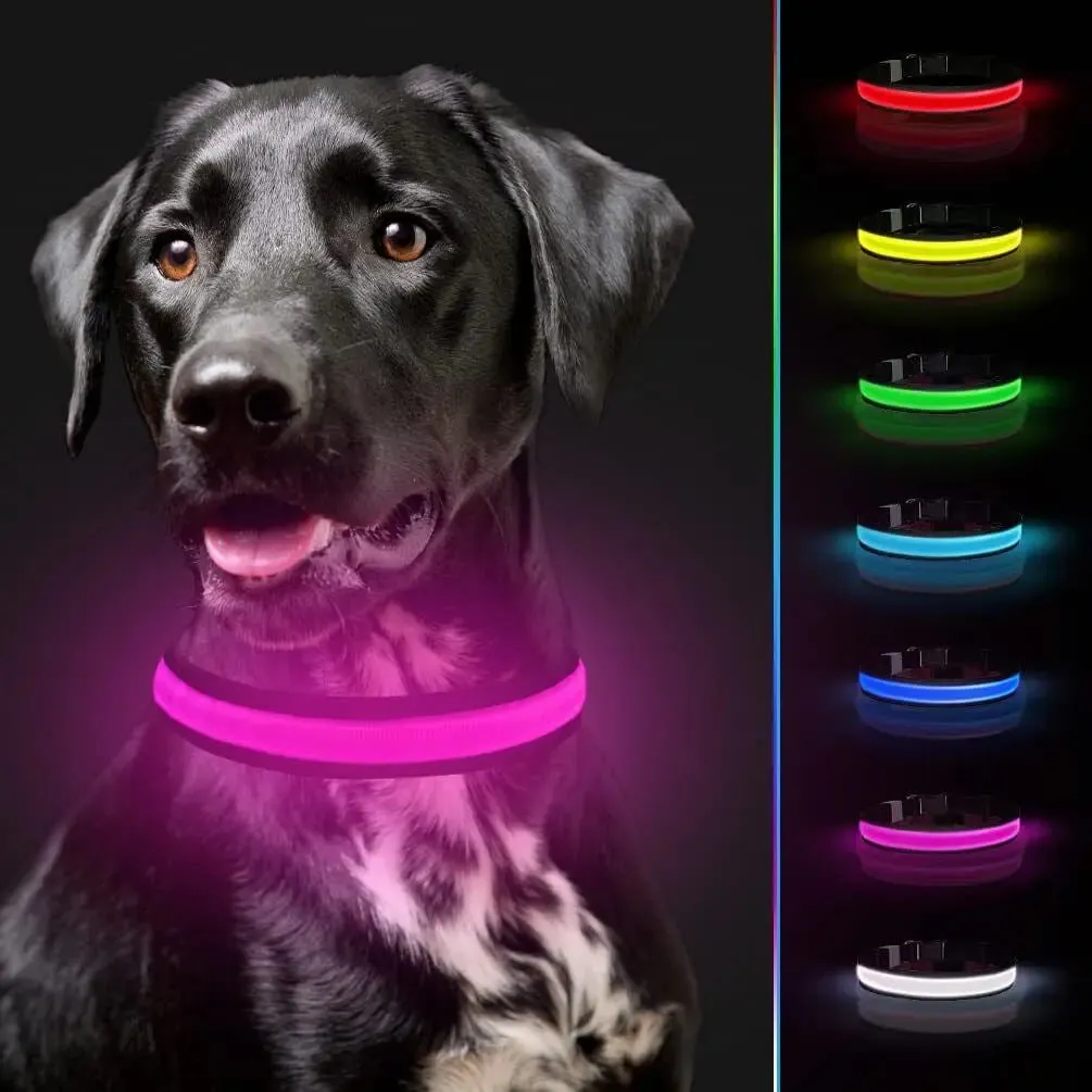USB Rechargeable Collar USB Rechargeable LED Pet Dog Collar Flashing Luminous Safety Light up Nylon UK