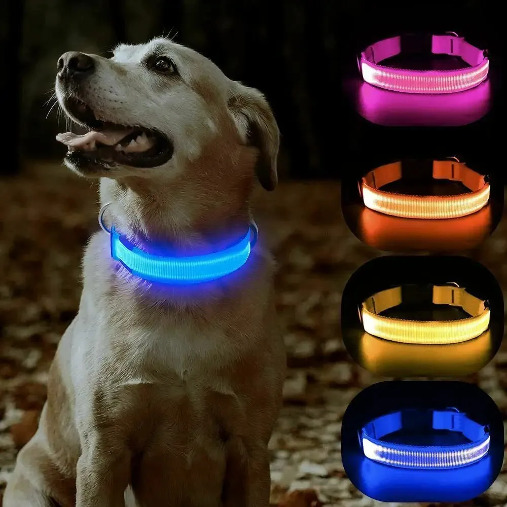 USB Rechargeable Collar USB Rechargeable LED Pet Dog Collar Flashing Luminous Safety Light up Nylon UK