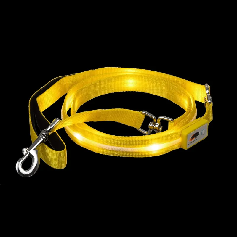 USB Rechargeable LED Pet Leash
