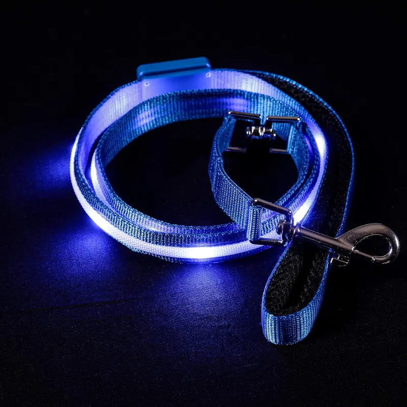 USB Rechargeable LED Pet Leash