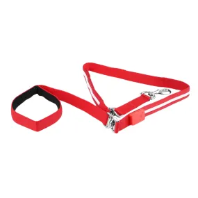 USB Rechargeable LED Pet Leash