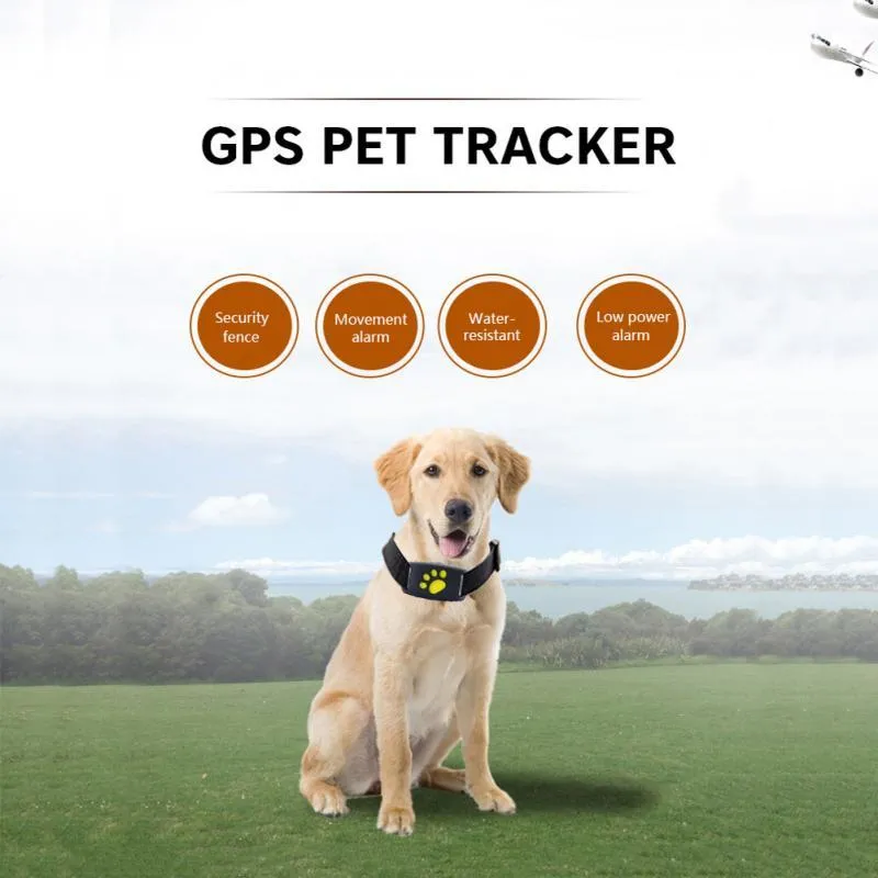 Water-Resistant GPS Tracker Dog Collar