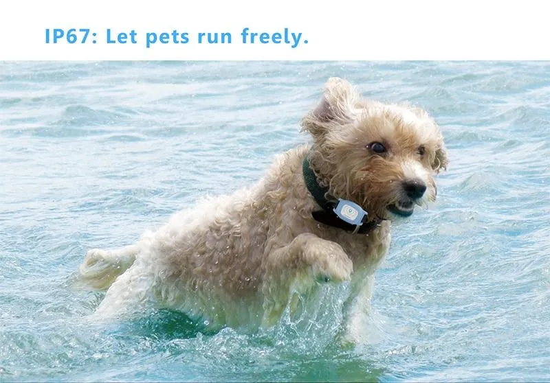 Waterproof Pet GPS Tracking Collar - IP67 Waterproof - Realtime Tracking